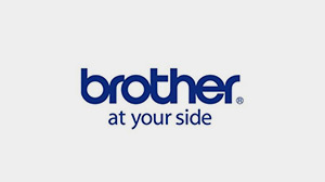 柠檬视频APP下载IOS金屬合作客戶-兄弟