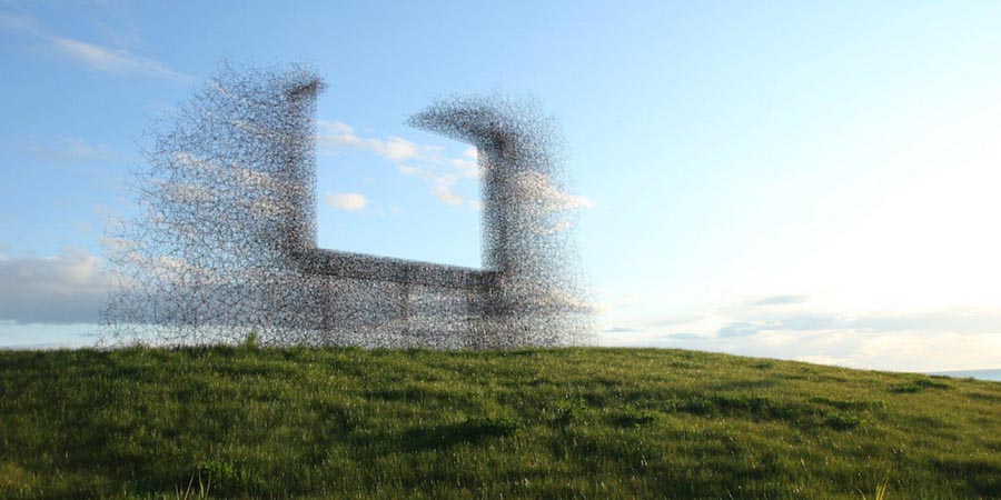 柠檬视频APP黄在线观看材也能成為藝術品